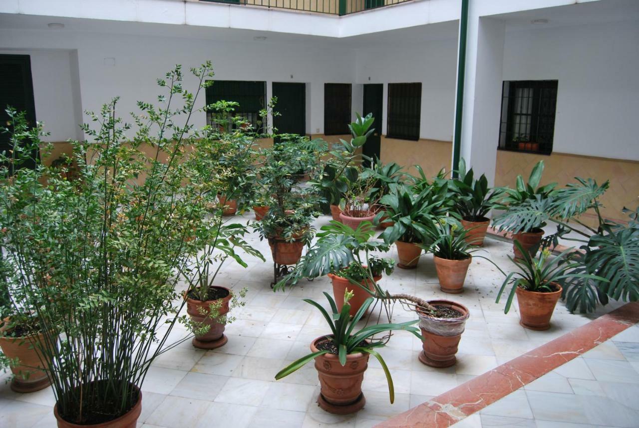 Apartamento El Rincón de Aurora Sevilla Exterior foto